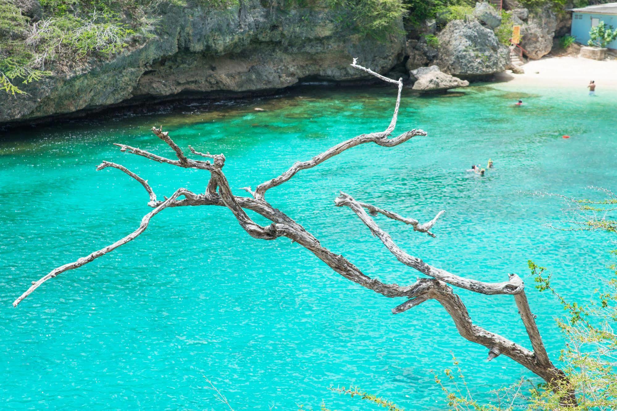 Lagun Blou Dive And Beach Resort Esterno foto