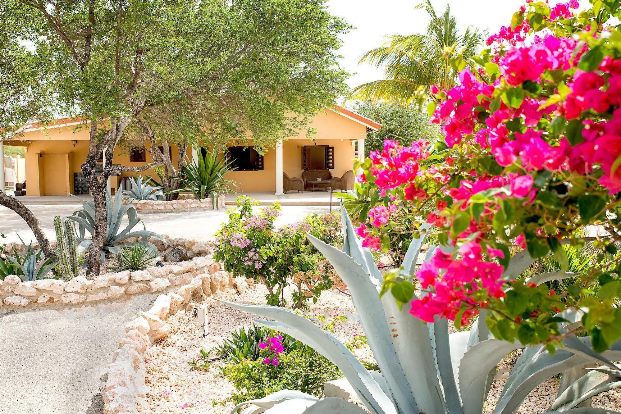 Lagun Blou Dive And Beach Resort Esterno foto
